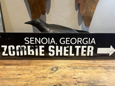 Senoia, Ga Zombie Shelter