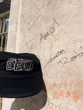 TWD Army Hat